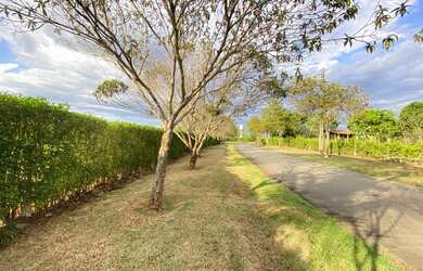 Imagem 13: Chácara lote em condomínio fechado alto da Boa Vista em senador Canedo