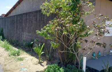 Imagem 4: Casa Casa com 3 dormitórios