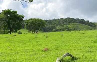 Imagem 3: Terrenos de 500m2. 500m² de Área