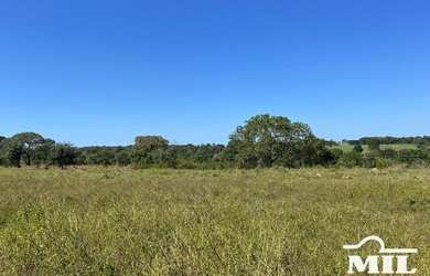 Imagem 9: Fazenda de 179 alqueires 871 hectares em São Miguel do Araguaia - GO
