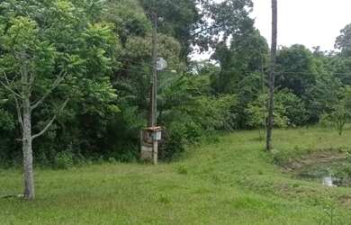 Imagem 13: Oportunidade - Vendo Fazenda região do Rio Palmital - Luziânia