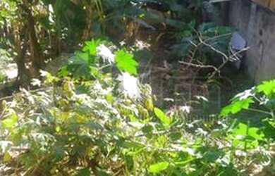 Imagem 2: Rio de Janeiro - Casa Padrão - Freguesia Jacarepaguá