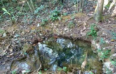 Imagem 2: Fazenda a venda no Tocantins