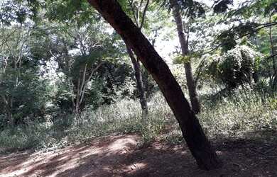 Imagem 8: Chácara de 14,52 HEC em Água Fria - 5Km da cidade