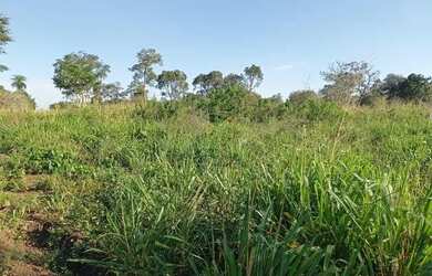 Imagem 1: Fazenda a venda no Tocantins