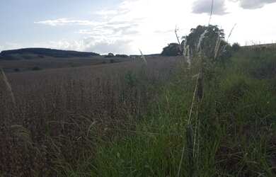 Imagem 2: Fazenda em Ibaiti. 