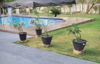 Imagem 3: ALUGUEL RANCHO em Itacaiú nas Margens do Rio Araguaia ao Lado do Porto...