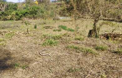 Imagem 3: Lote 1000m2 Semi-Plano no Condomínio Gran Royalle Lagoa Santa