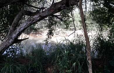 Imagem 7: Chácara de 14,52 HEC em Água Fria - 5Km da cidade