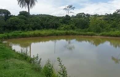 Imagem 4: Oportunidade - Vendo Fazenda região do Rio Palmital - Luziânia