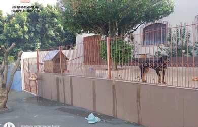 Imagem 4: Casa no Conjunto José Pires de Godoy (Pólo)