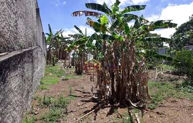 Imagem 2: Terreno à venda, 1300 m² por R$ 425.000,00 - Granjas Rurais Reunidas...