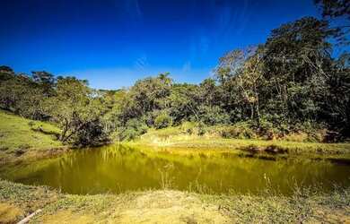 Imagem: O terreno possui 1.000m² de Área e está localizado em Centro