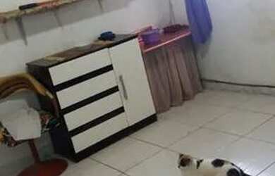 Imagem: A casa possui 3 Dormitórios, 2 Banheiros, 2 Vagas na garagem