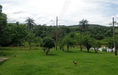 Imagem 7: Oportunidade - Vendo Fazenda região do Rio Palmital - Luziânia