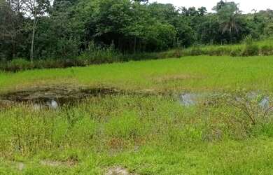 Imagem 8: Oportunidade - Vendo Fazenda região do Rio Palmital - Luziânia