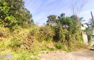 Imagem 3: Terreno com 21,14 metros de frente