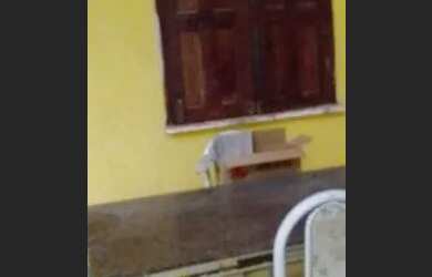 Imagem 2: Casa pra alugar. Varanda, Imóvel novo, 1 Banheiroe1 Dormitório