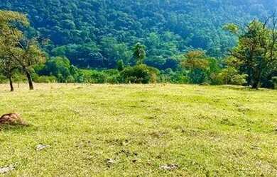 Imagem 6: Terrenos de 500m2. 500m² de Área