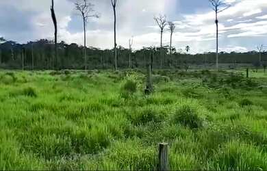 Imagem: A fazenda possui 220m² de Área e está localizado em Rorainópolis