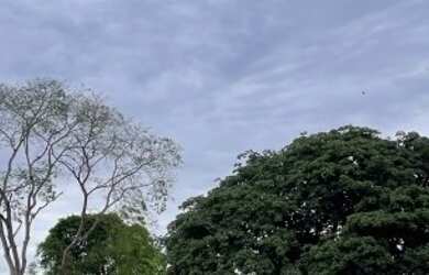 Imagem: A fazenda está localizado em São Miguel do Araguaia, GO à