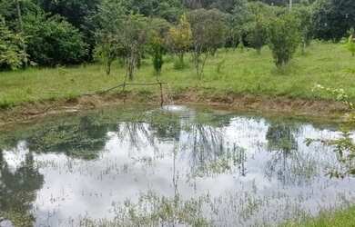 Imagem 3: Oportunidade - Vendo Fazenda região do Rio Palmital - Luziânia