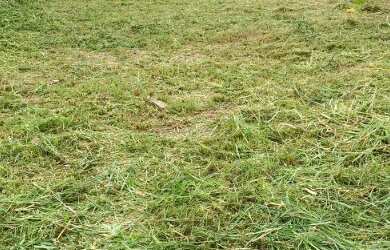 Imagem: O terreno possui 300m² de Área e está localizado em Pedra