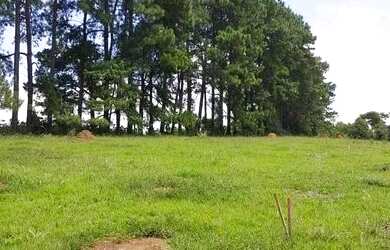 Imagem 1: Lote/Terreno para venda possui 500 metros quadrados em Jardim Colonial...