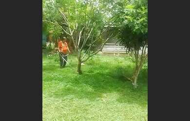 Imagem: O terreno possui 530m² de Área e está localizado em Cidade