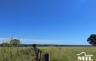 Imagem 5: Fazenda de 179 alqueires 871 hectares em São Miguel do Araguaia - GO