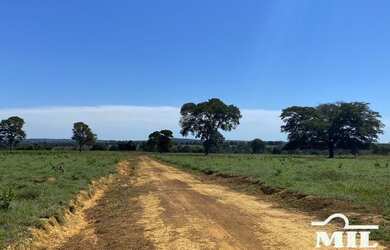 Imagem 2: Fazenda de 179 alqueires 871 hectares em São Miguel do Araguaia - GO