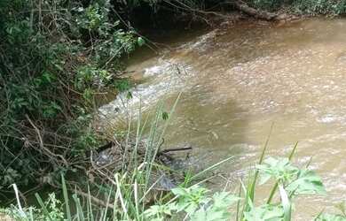 Imagem 6: Oportunidade - Vendo Fazenda região do Rio Palmital - Luziânia