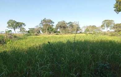 Imagem 5: Fazenda a venda no Tocantins