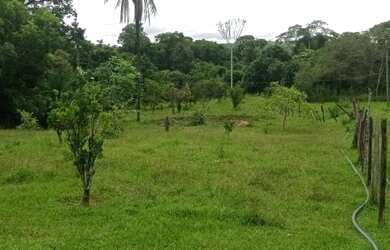 Imagem 10: Oportunidade - Vendo Fazenda região do Rio Palmital - Luziânia