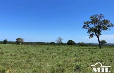 Imagem 4: Fazenda de 179 alqueires 871 hectares em São Miguel do Araguaia - GO