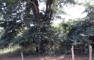 Imagem 4: Chácara de 14,52 HEC em Água Fria - 5Km da cidade