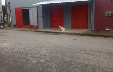 Imagem: A casa possui 2 Dormitórios, 1 Banheiro, 2 Vagas na garagem