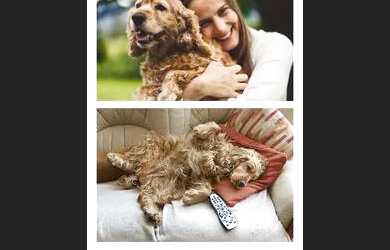 Imagem: A casa possui 4 Dormitórios, 4 Banheiros, 4 Vagas na garagem