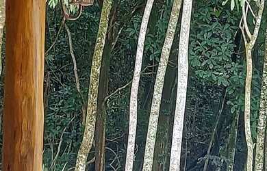 Imagem 11: Chácara Condomínio CountryVille - Country Ville