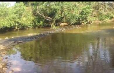 Imagem 6: Vende-se uma excelente fazenda de 110 Alqueires