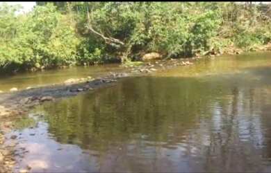 Imagem 3: Vende-se uma excelente fazenda de 110 Alqueires