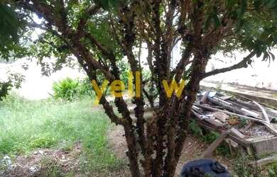 Imagem 5: Casa em Vila Galhardo - Nazaré Paulista