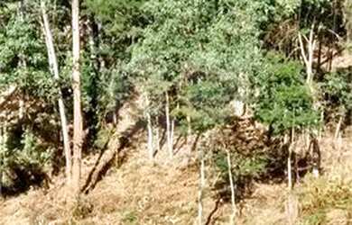 Imagem 6: Terreno / Lote à Venda no Condomínio Capital Ville I em Jundiaí/SP