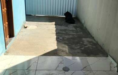 Imagem 2: Alugo ou vendo casa em Unamar Cabo Frio 5 minutos da praia 699,00 reais...