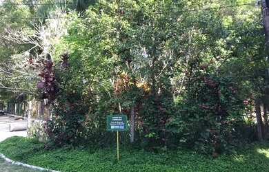 Imagem 5: Lote 100% legalizado em condomínio fechado com 215 m² no melhor de Vargem Grande