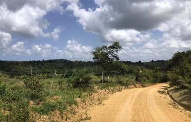 Imagem 8: Vendo fazenda com 280 ta em Santa Luzia do Itanhy