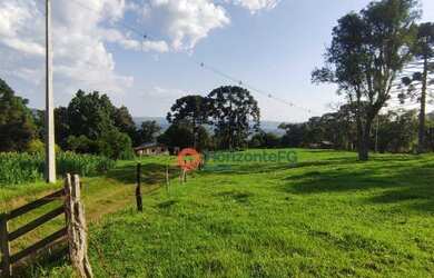 Imagem 4: Chácara à venda, 7 alqueires por R$ 1.200.000 - Zona Rural - Guarapuava/PR