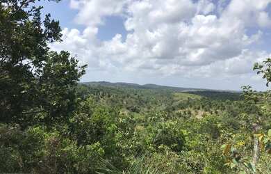 Imagem 2: Vendo fazenda com 280 ta em Santa Luzia do Itanhy