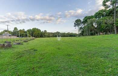 Imagem 14: Terreno na BR277. 85.023m² de Área