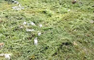 Imagem: O terreno possui 23m² de Área e está localizado em Jorge